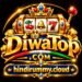 Diwa Top